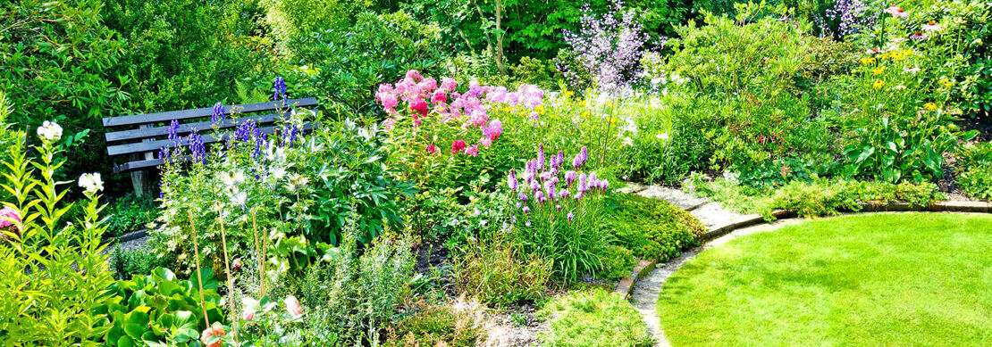 Stauden für jeden Standort